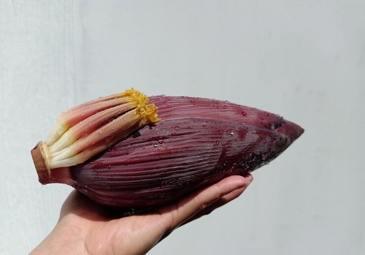 ASI booster alami, jantung pisang untuk ASI, ASI Joy review, cara memperbanyak ASI, ASI lebih kental, vitamin ASI ibu menyusui, booster ASI halal, ASI booster BPOM